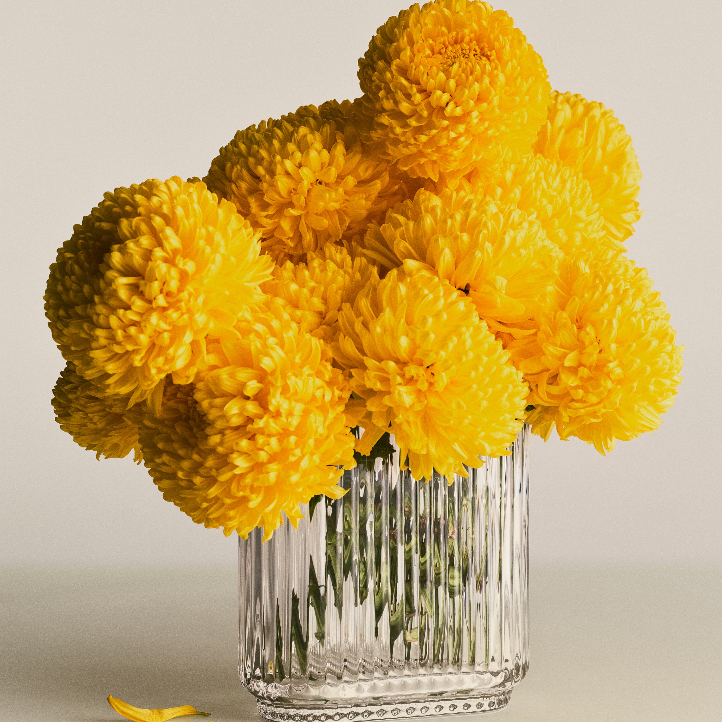 Vase, Bernadotte oval