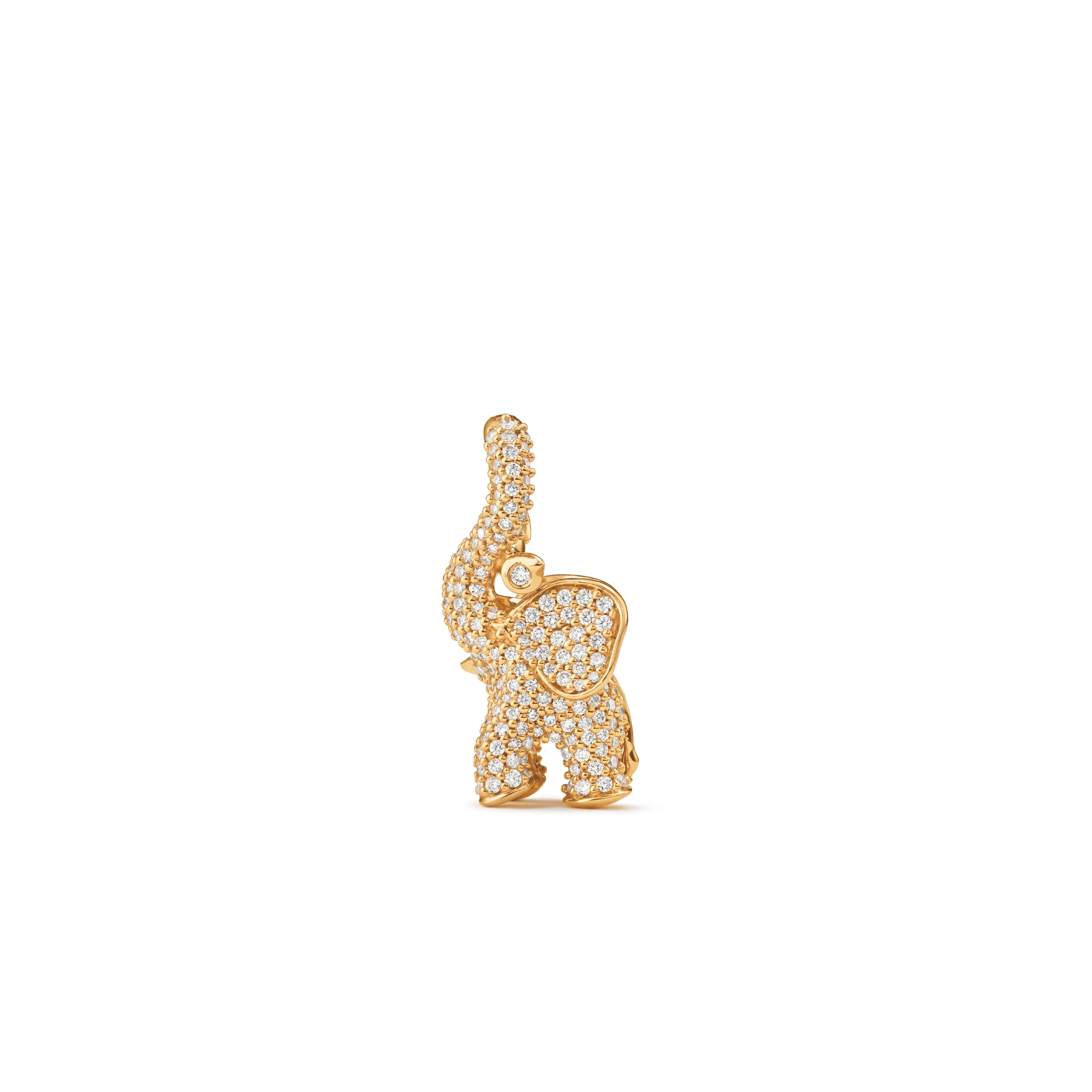 Anheng, Elephant pavért medium