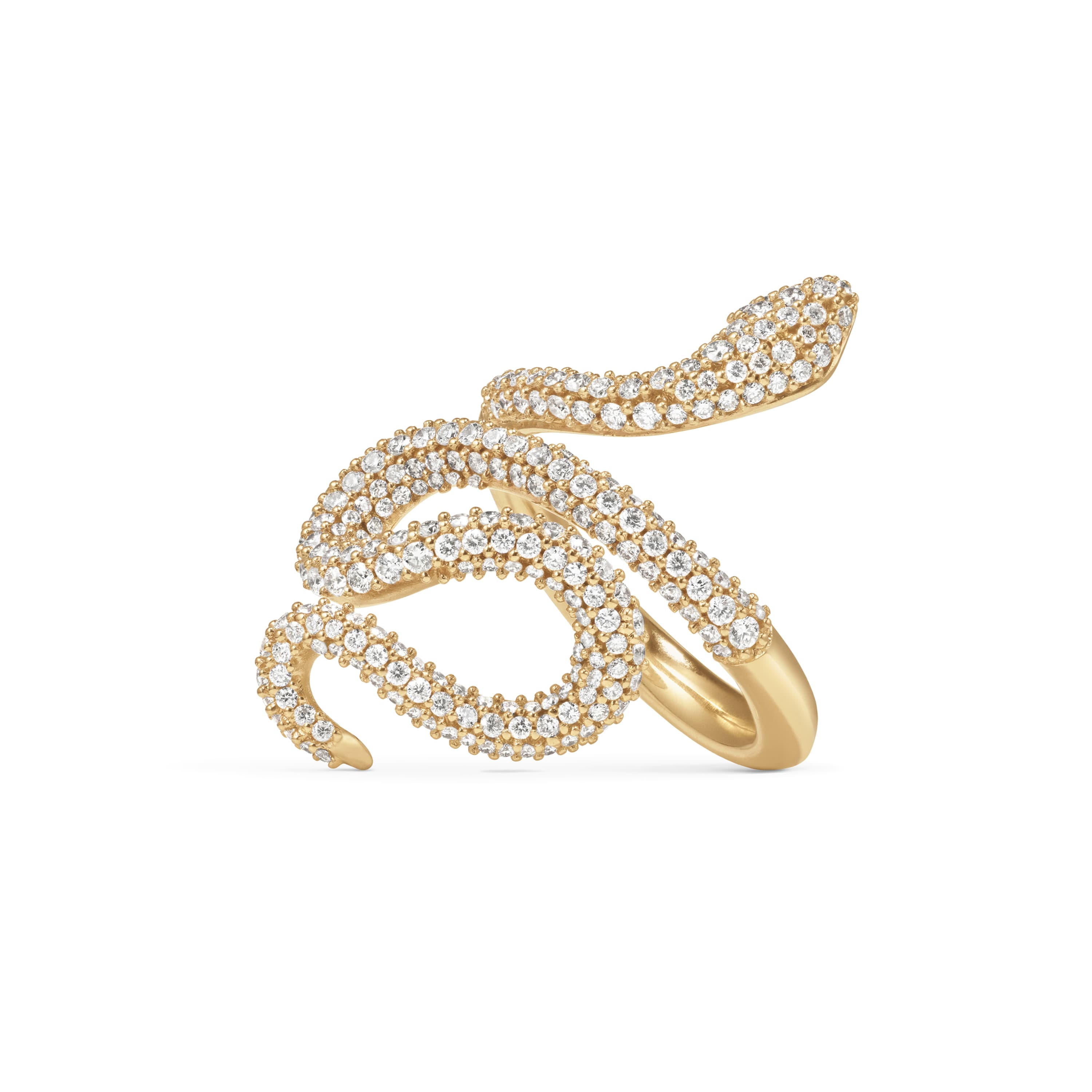 Ring, Snakes pavért medium
