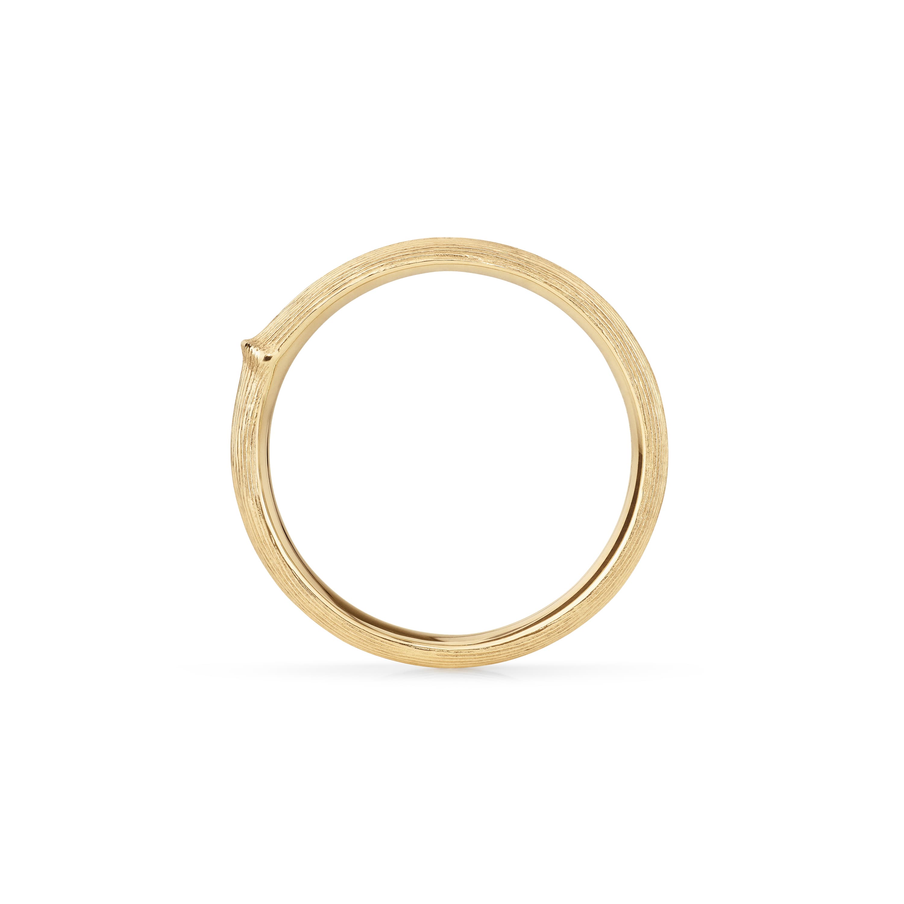 Ring, Nature Small gult gull - Herre