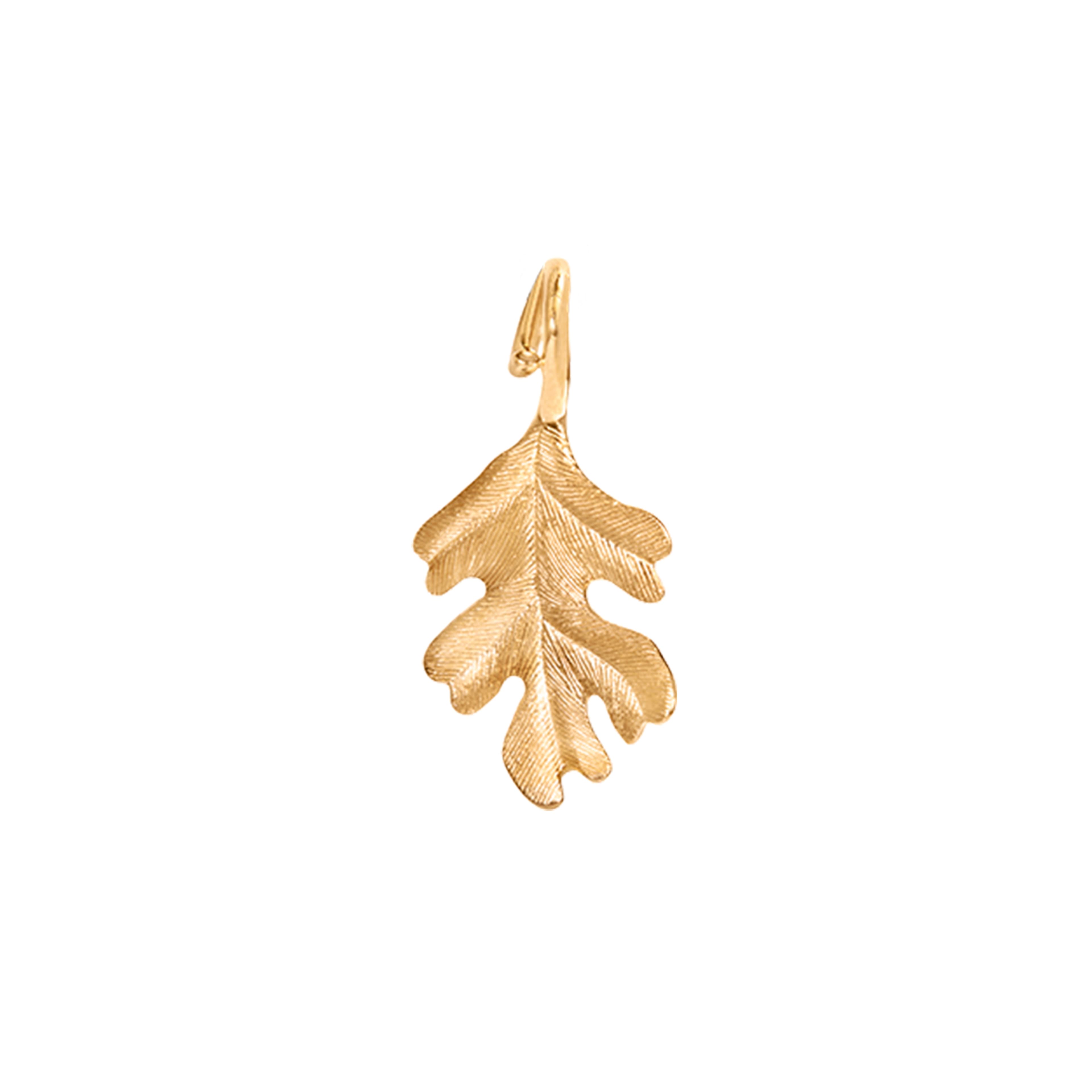 Anheng, Forest Oak Leaf gult gull medium