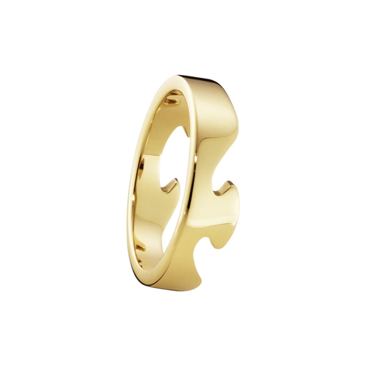 Ring, Fusion endestykke