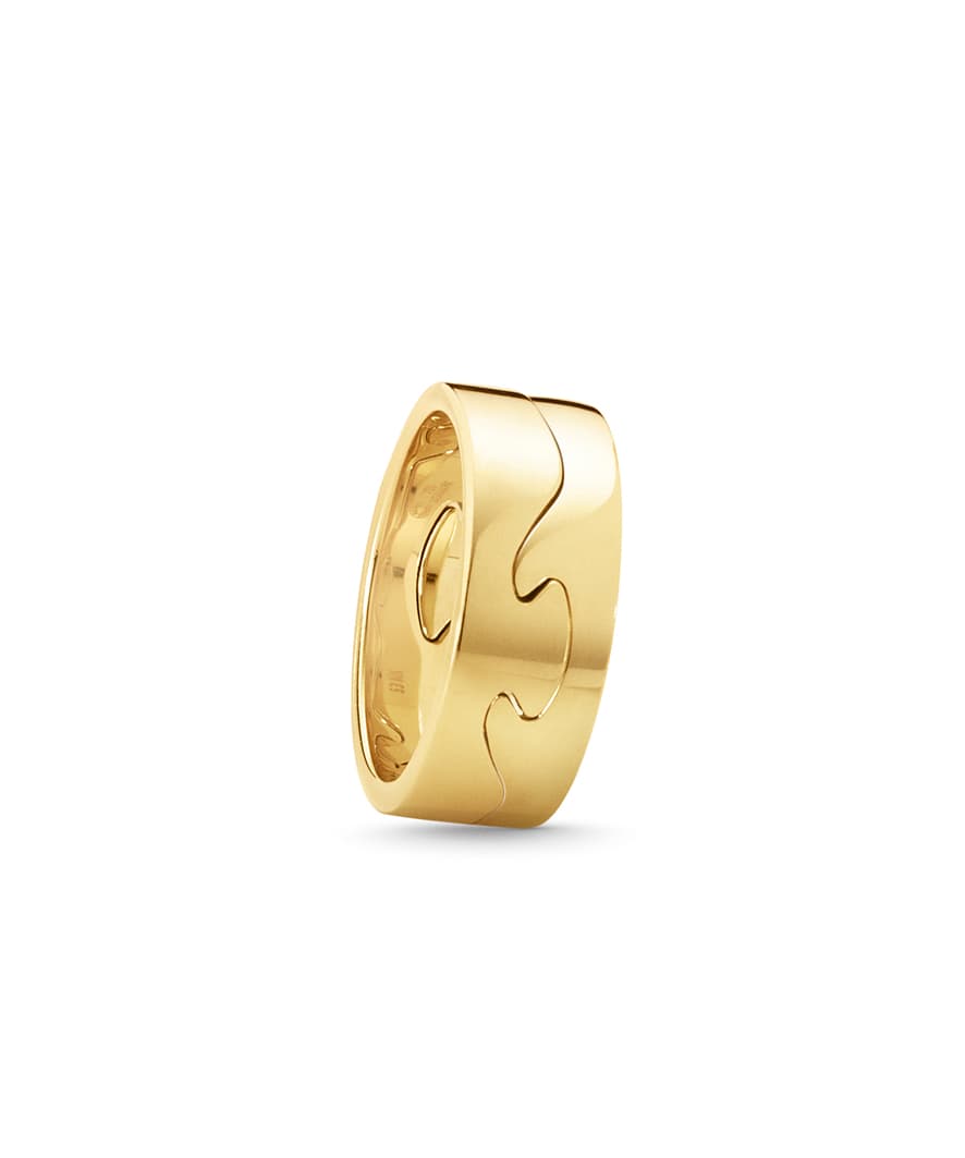 Ring, Fusion endestykke