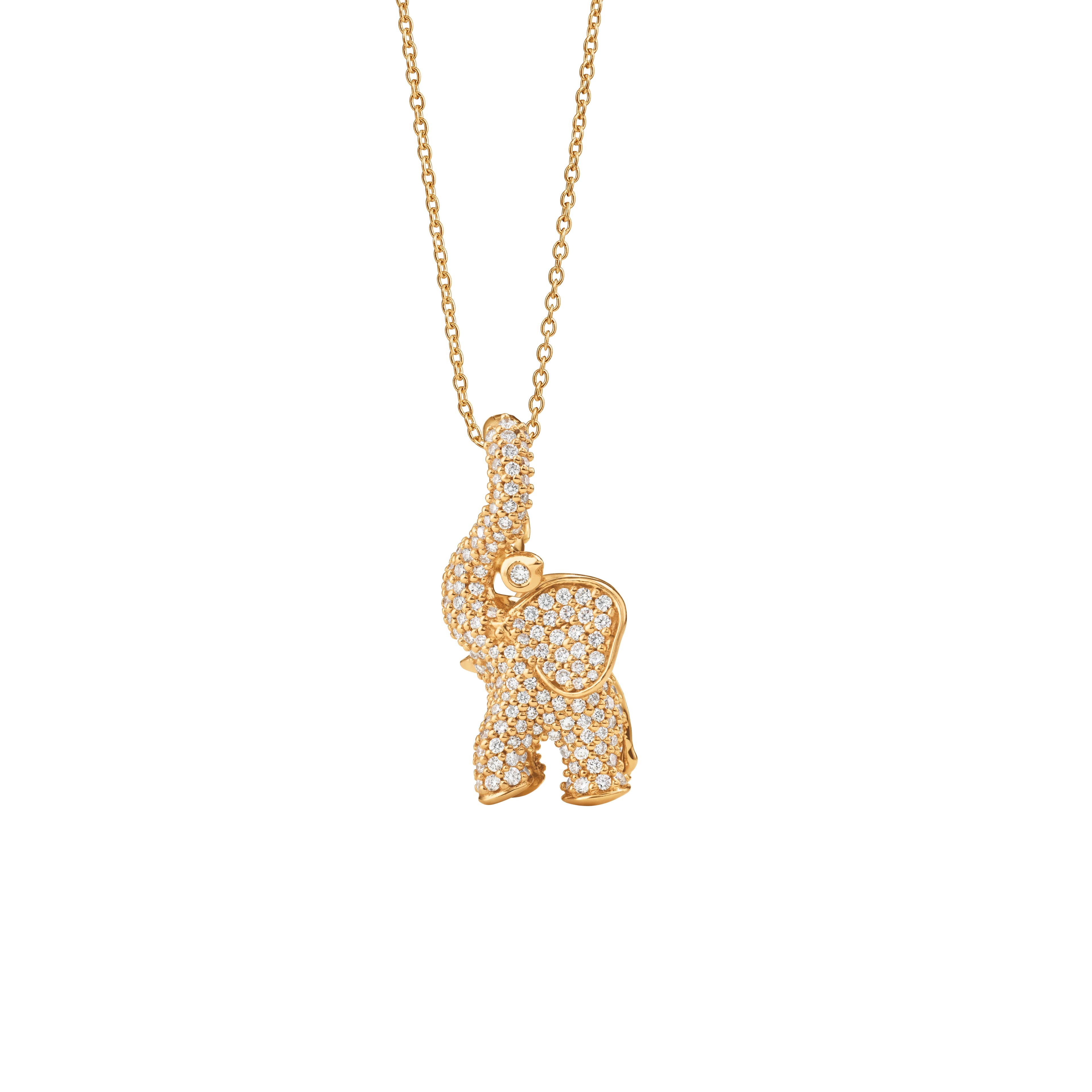Anheng, Elephant pavért medium