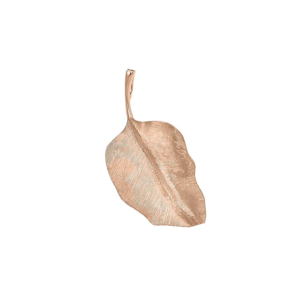 Anheng, Leaves rund roségull