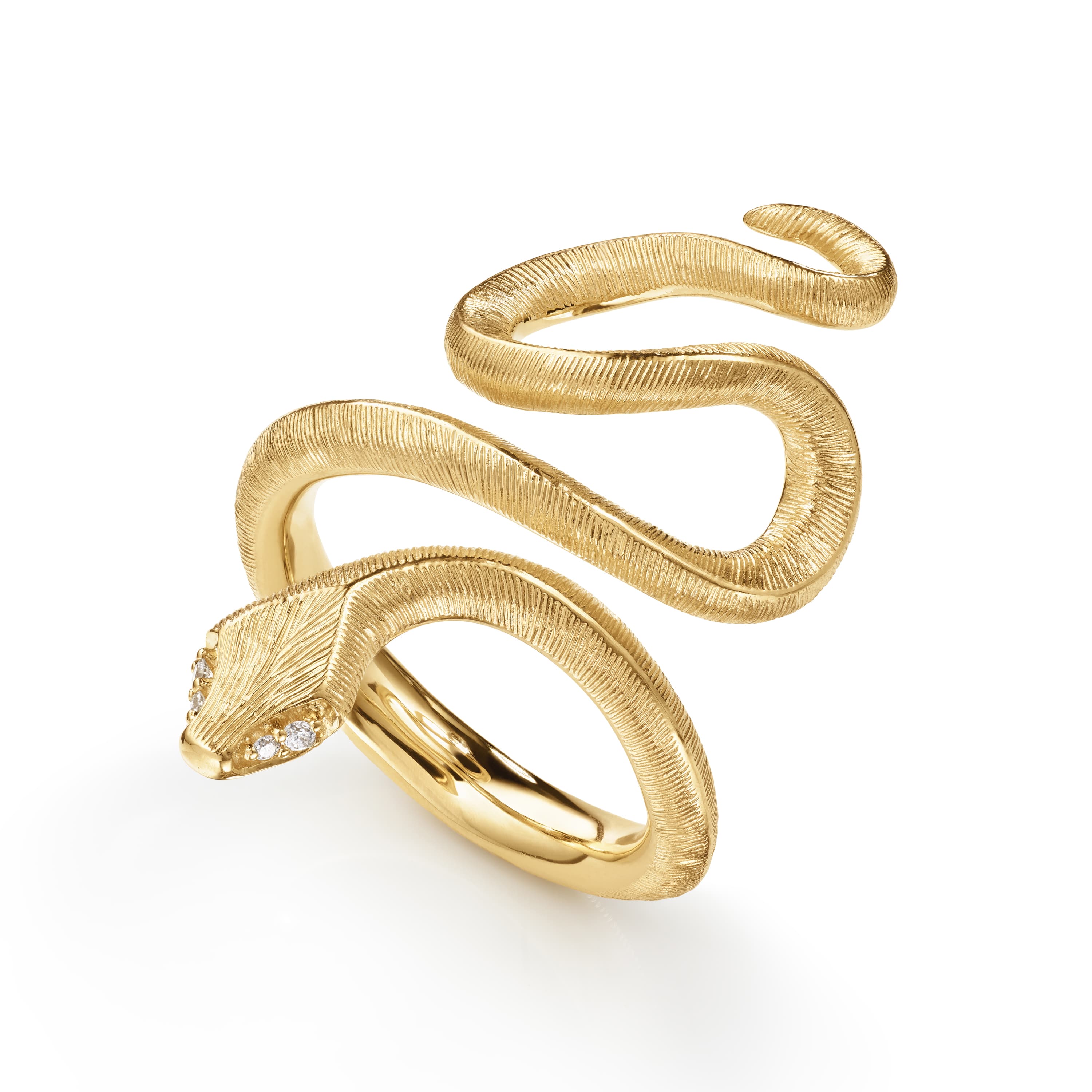 Ring, Snakes medium