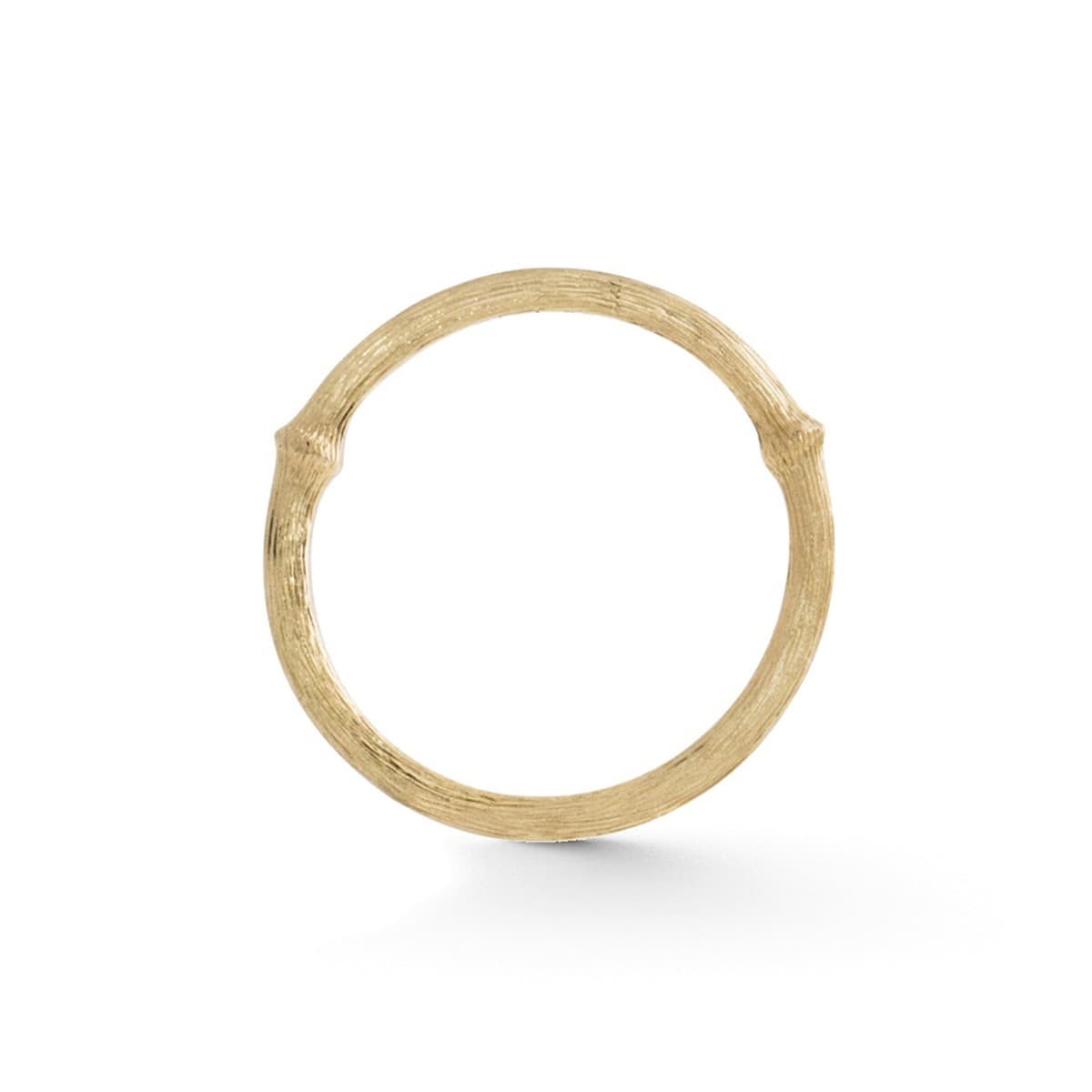 Ring, Nature Nr. 1