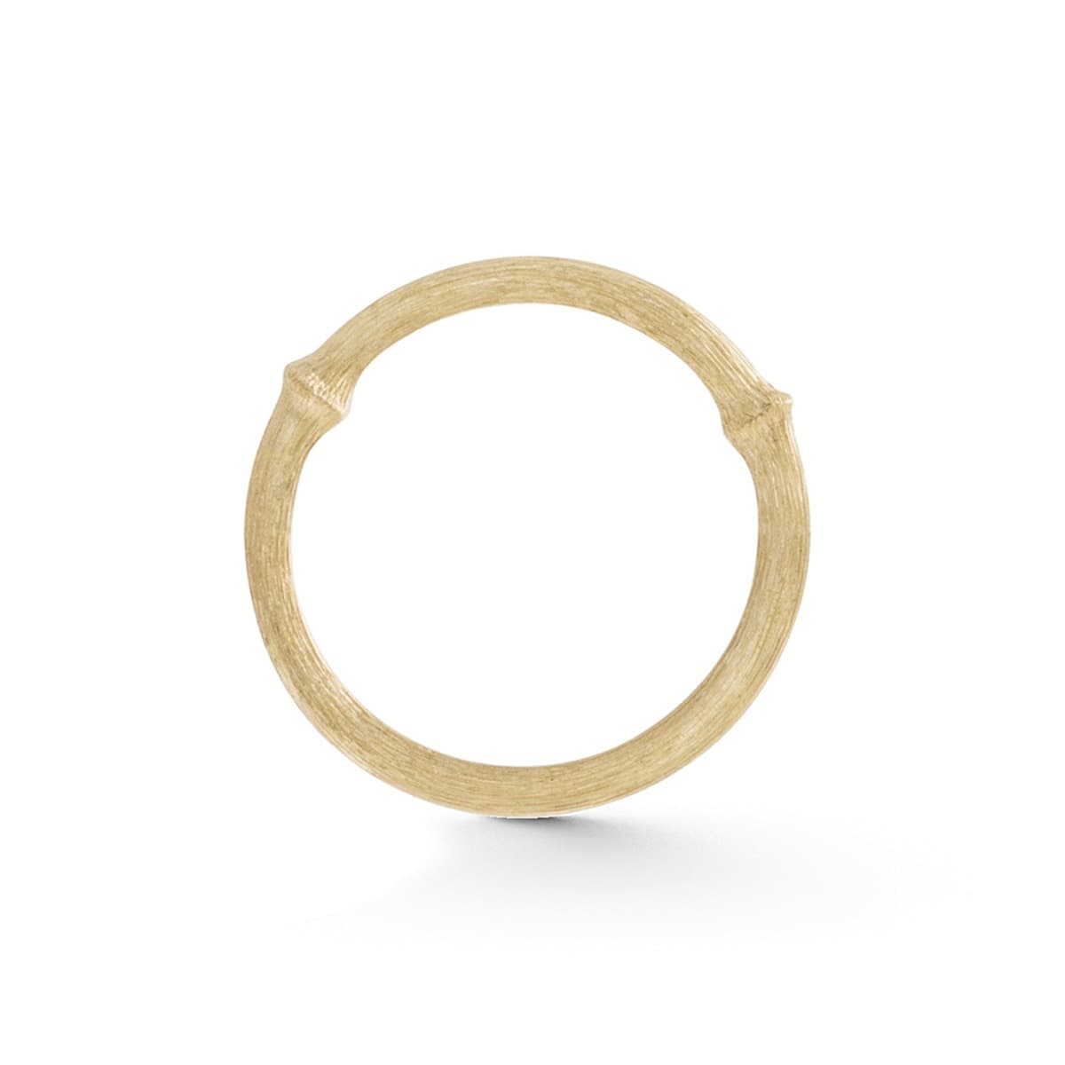 Ring, Nature Nr. 2