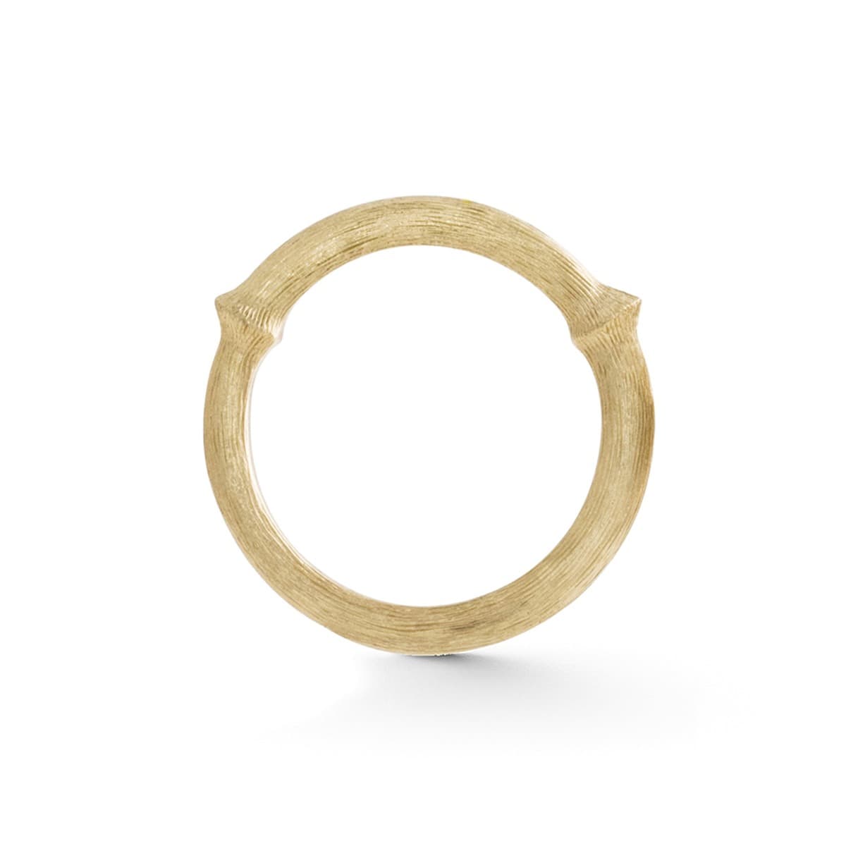 Ring, Nature Nr. 3