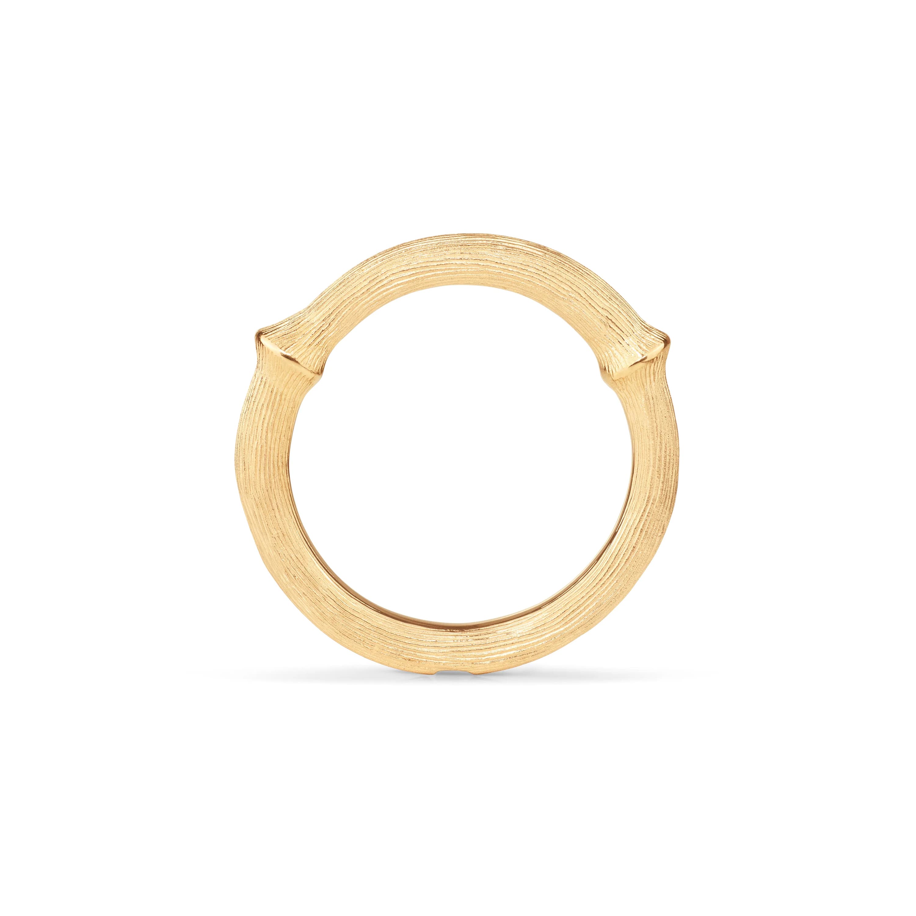 Ring, Nature Nr. 4