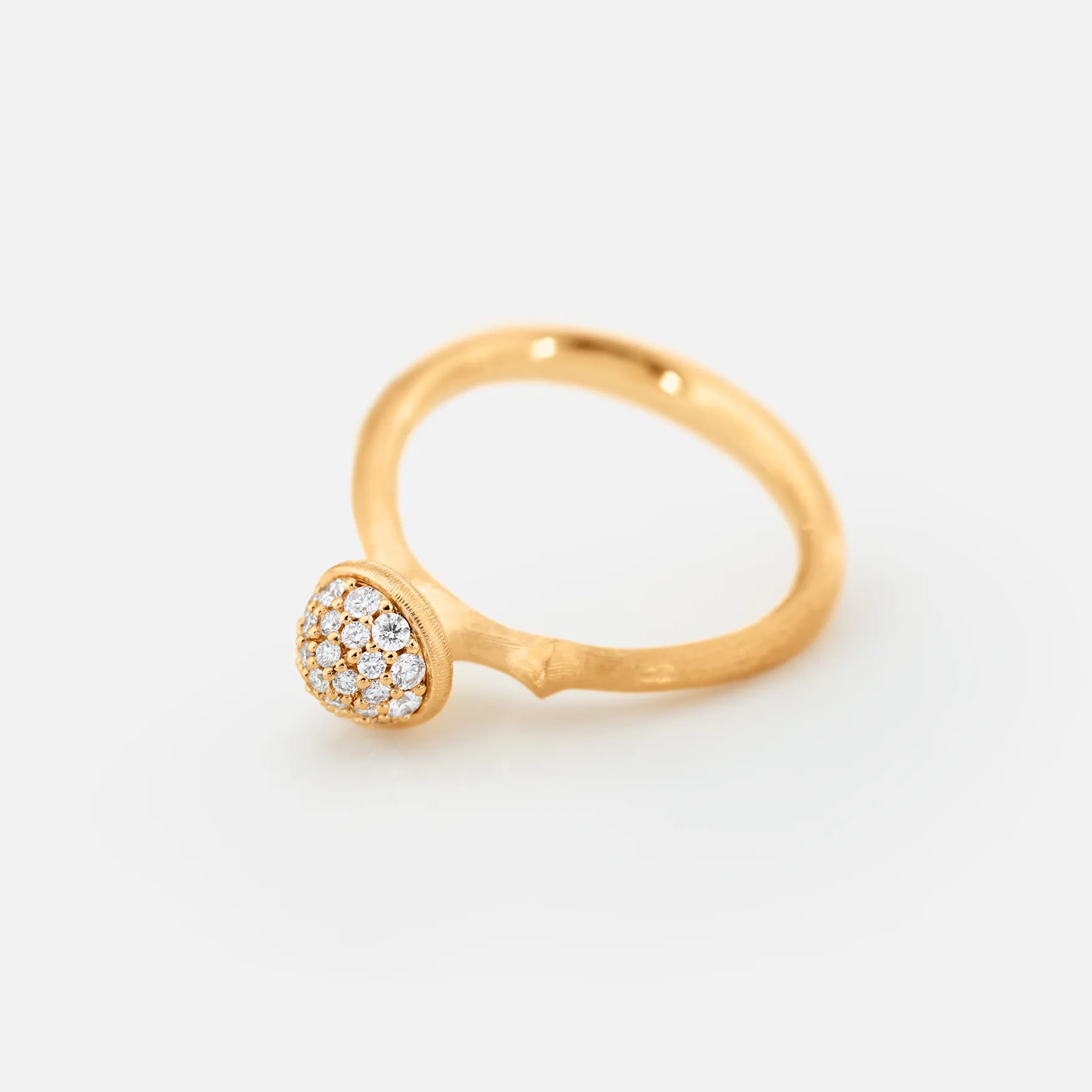 Ring, Lotus pavért liten